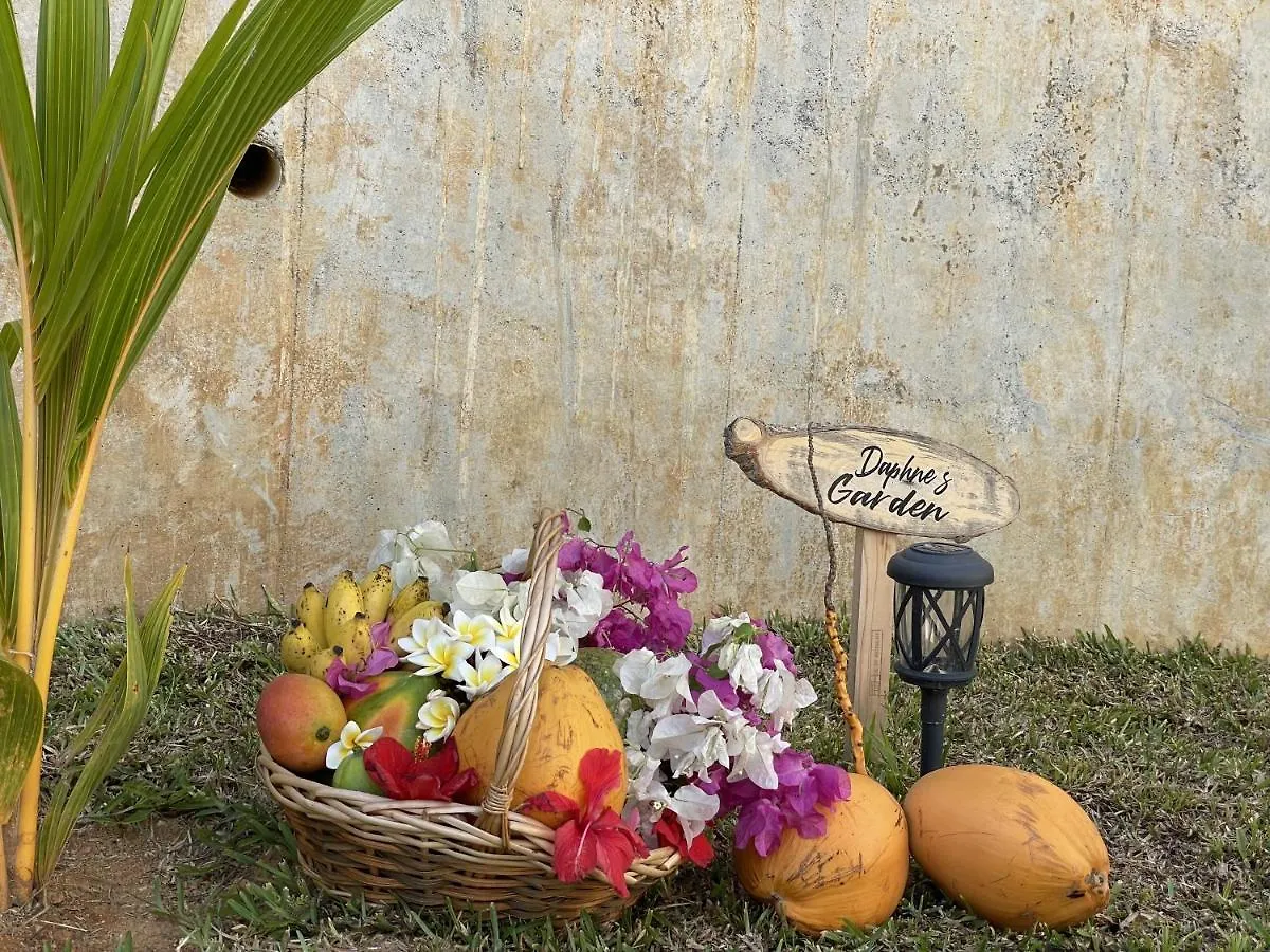 B Holiday Apartments Beau Vallon